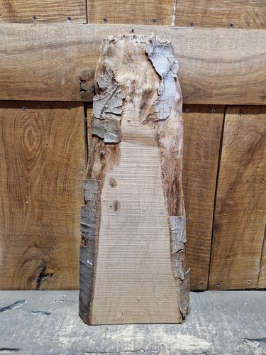 Live edge beech - live, (083)