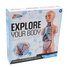 Explore Your Body Model -