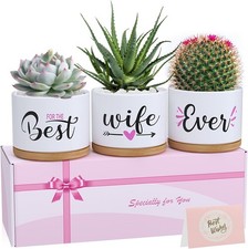 Valentines Day Birthday Gifts