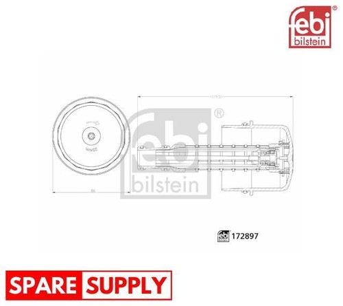 Cap oil filter - oil,
