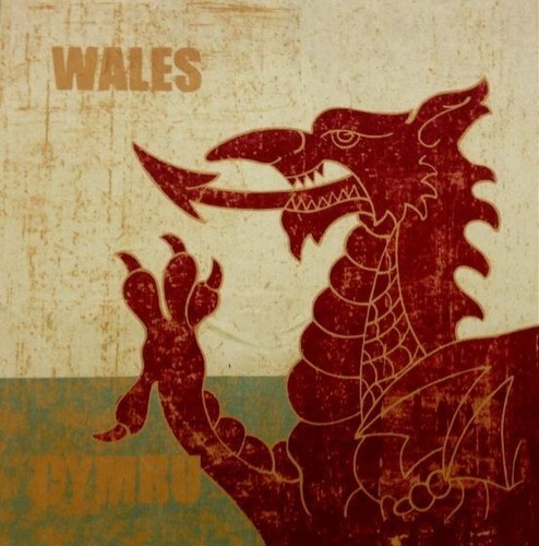 Welsh dragon velvet - dragon,