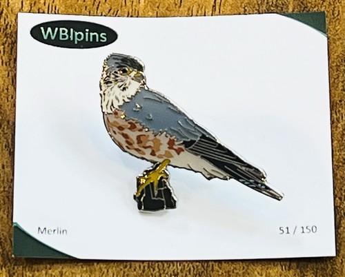 Merlin wbi david hutley pin - -,