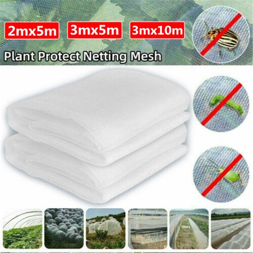 Ultra fine mesh - ultra-fine, plant