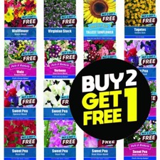 Flower Seeds UK Grow Your Own Outdoor Plants Borders | Over 79 varieties