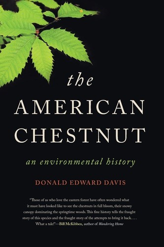 The american chestnut - the, chestnut: