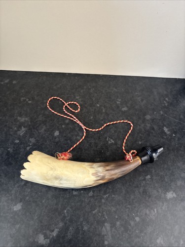 Cow bull blowing horn - bull, bugle