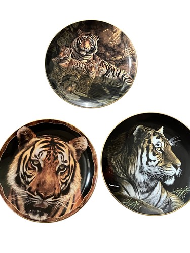 Wedgwood bengal tigers plate - bengal,