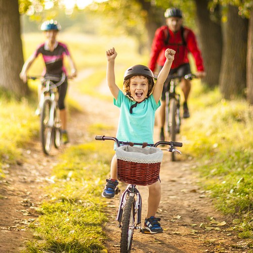 Durable brown bamboo bike - brown,