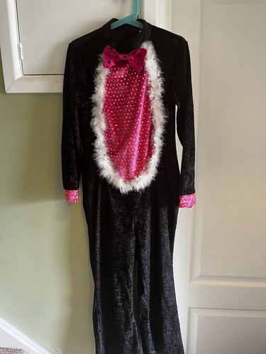 Cat dressing dress - cat,