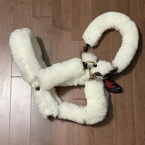 Walsh shipping halter with - halter,