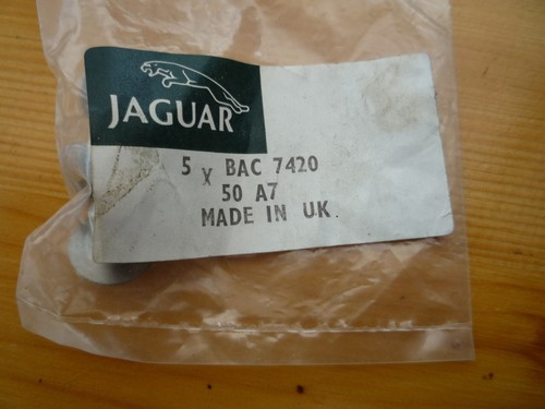 Jaguar xjs cabriolet - jaguar,