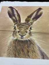 Cheeky  Rabbit Cushion Panel 40cm X 40cm