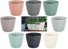 Plant pots indoor outdoor - plant,