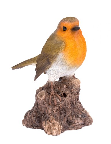 Robin bird stump - bird,