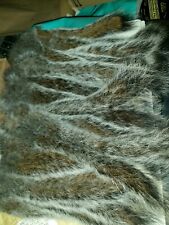 10 Dry Grey Squirrel Tails Taxidermy Fly Tying Supports Ponteland Red Squirrels