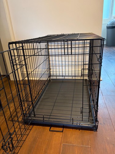 Large black dog - black, with