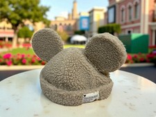 Tokyo Disney Resort Mickey