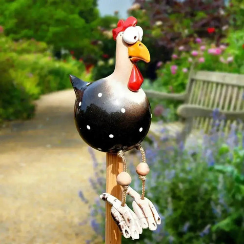 Funny chicken garden - funny,