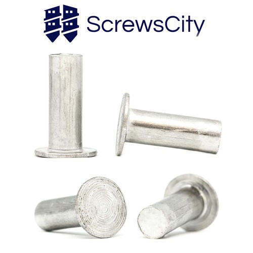 Solid flat head - solid, rivets