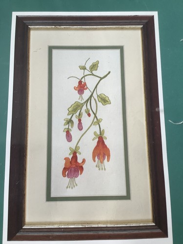 New anchor fuchsia - new,