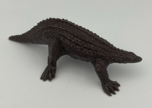 British museum natural history - museum,