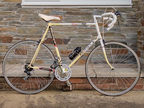 Raleigh kellogg pro - pro, tour