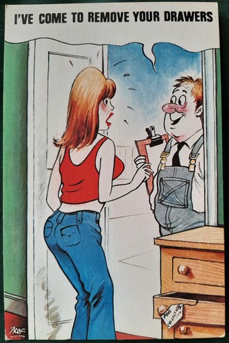 Saucy seaside postcard - ,