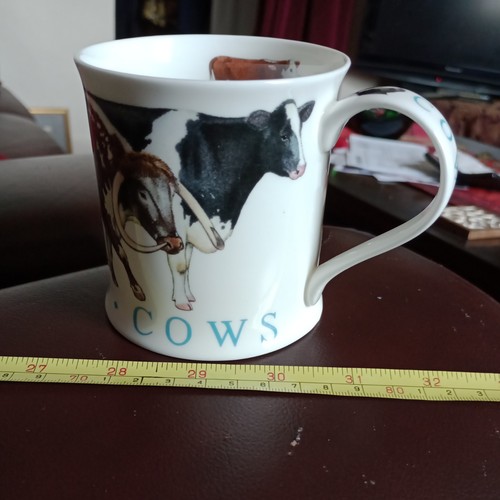 Dunoon pottery fine bone - fine,