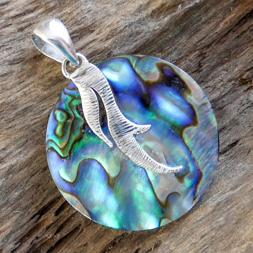 Round paua abalone shell - abalone,