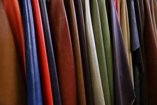 Finest Quality Whole Sheep