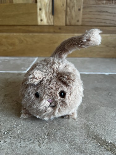 Rare jellycat ginger caboodle - jellycat,
