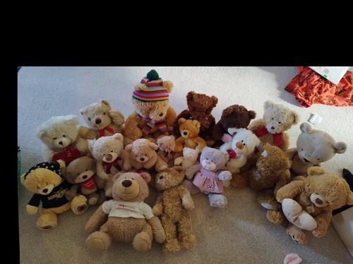 Very large collection teddy - very,
