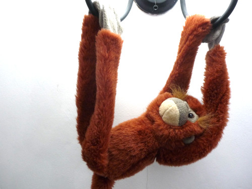 Hanging spider monkey with rip - spider,