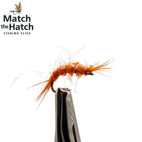 Pack orange scud gammarus - 6,