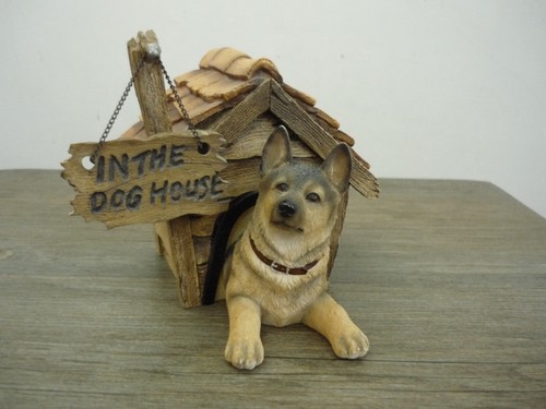 Dog studies the - studies, house