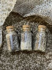 Royal Python Aka Ball Python Snake Skin Shed Glass Bottle Curiosity Oddity Gift