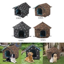 Outdoor Feral Cats Warm House