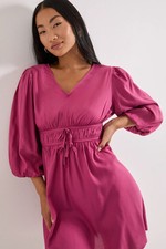 Dorothy Perkins Rose Mini