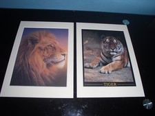 Mounted big cat - big,