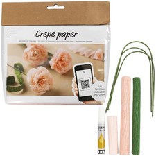 Crepe Carnations Craft Kit |