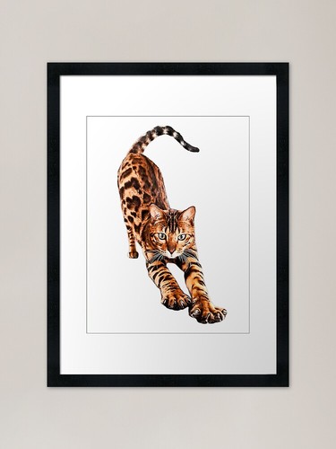 Bengal cat stretching framed - cat,