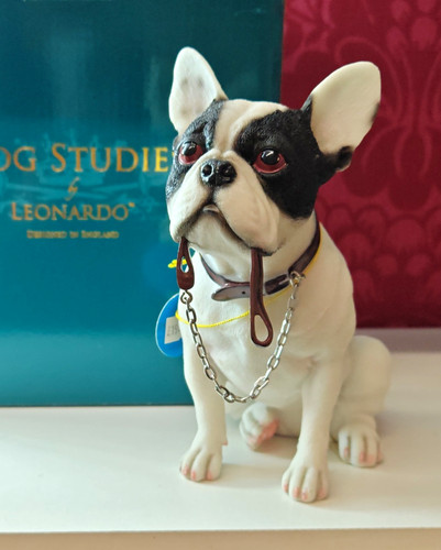 Leonardo dog studies french - studies,