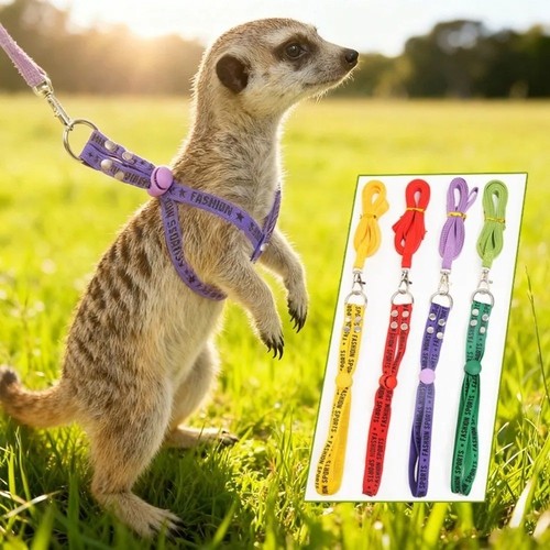 Rabbit towing rope - rabbit, pig
