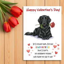 Black Flat Coated Retriever