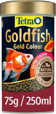 Tetra Goldfish Gold Colour