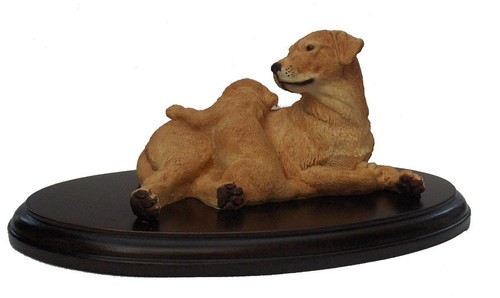 Teviotdale goldon labrador - -,
