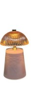 LED Light Up Elegant Lamp &