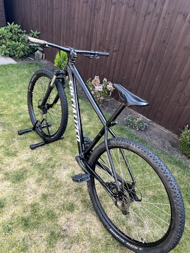 Specialized rockhopper 29in - specialized,