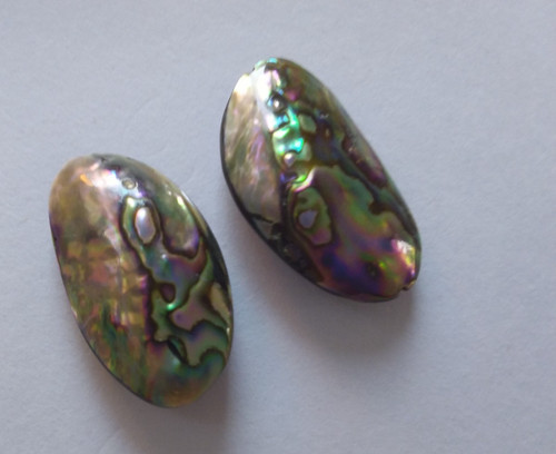 Natural paua abalone shell - 2,
