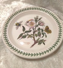 Portmeirion Botanic Garden